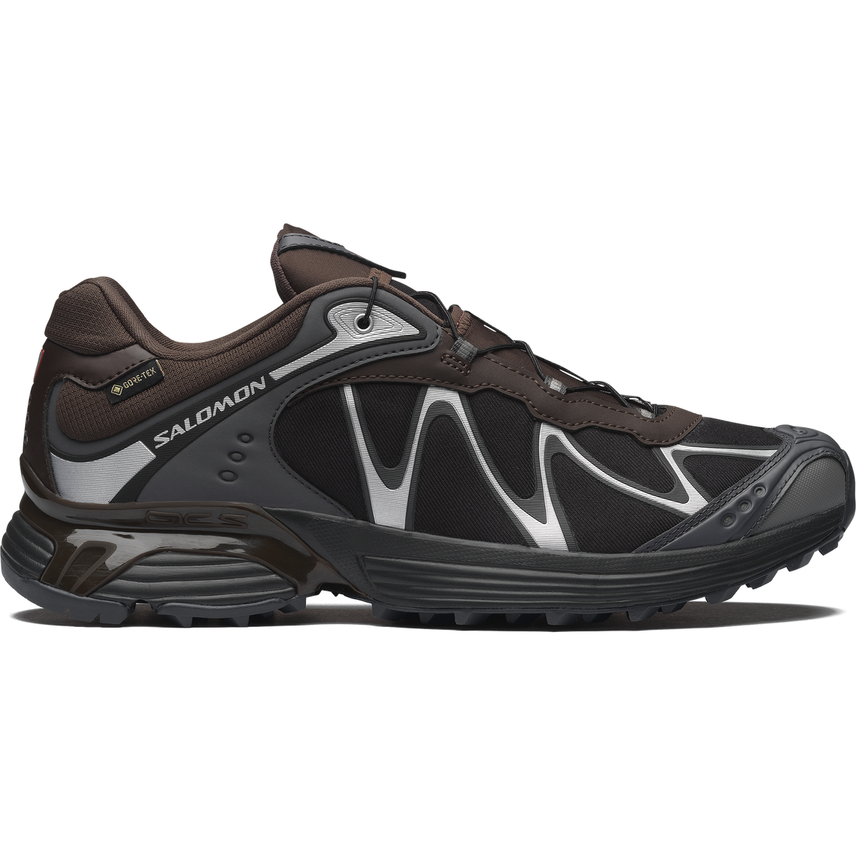 Salomon XT-Whisper GTX Delicioso Asphalt