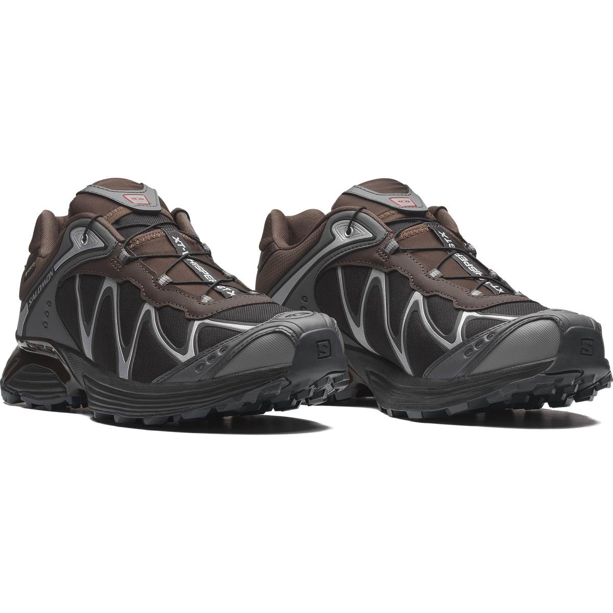 Salomon XT-Whisper GTX Delicioso Asphalt