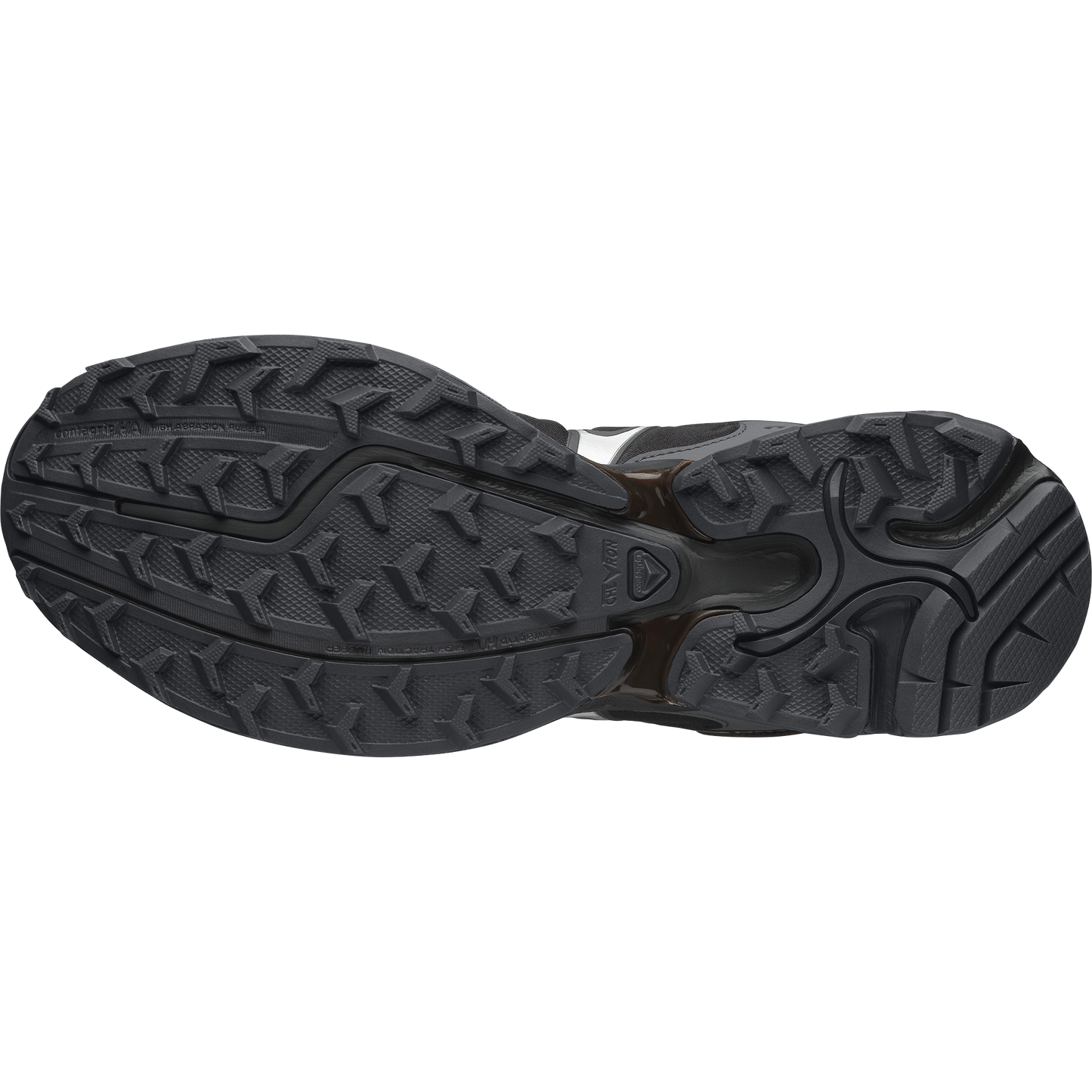 Salomon XT-Whisper GTX Delicioso Asphalt