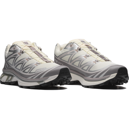 Salomon XT6 Vanilla Ice Ftw Silver vue de profil