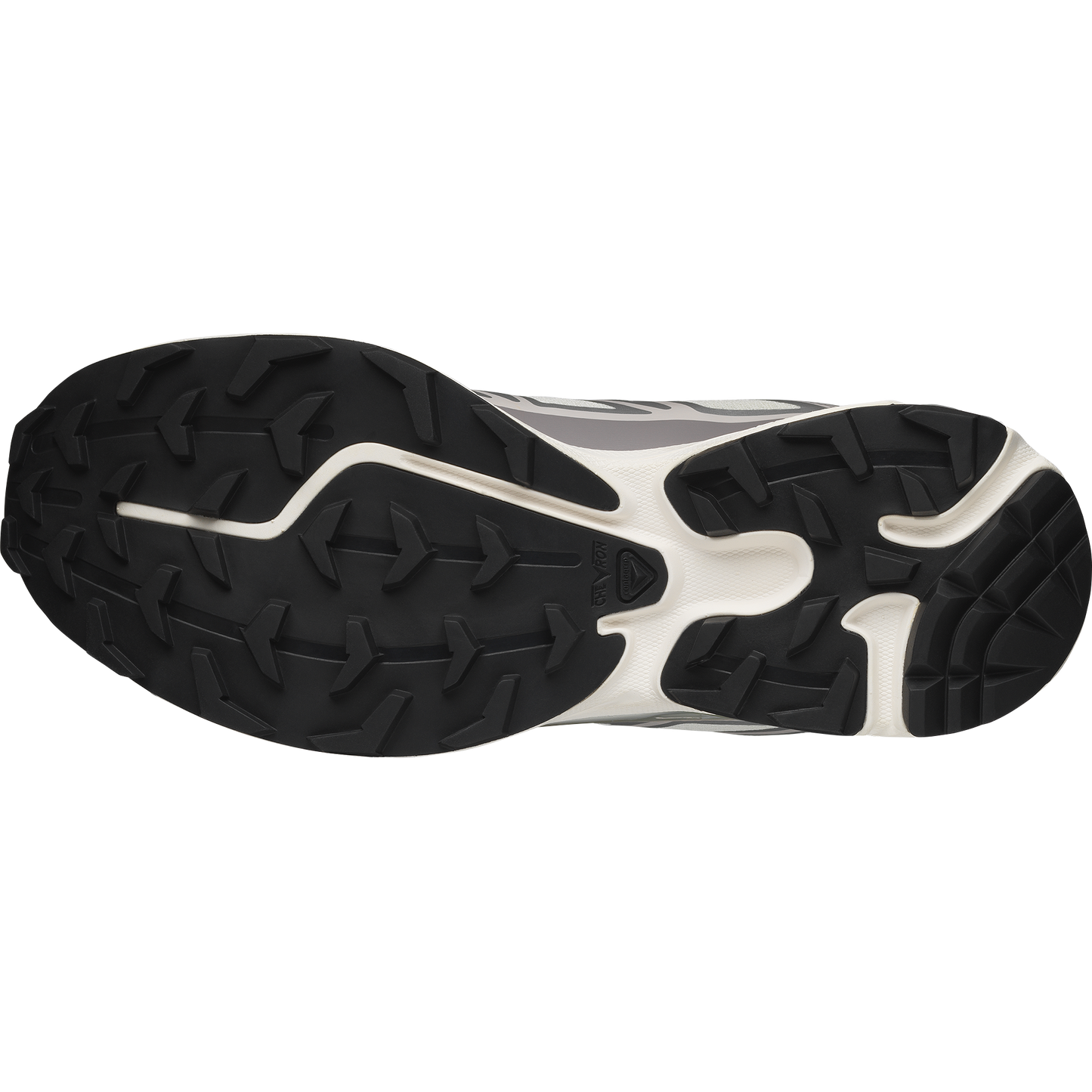 Salomon XT6 Vanille Ice Ftw Silver