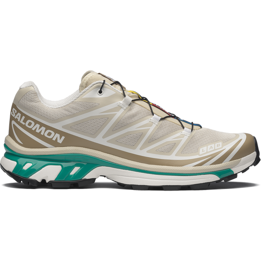 Salomon XT6 Rainy Day / Chinchilla