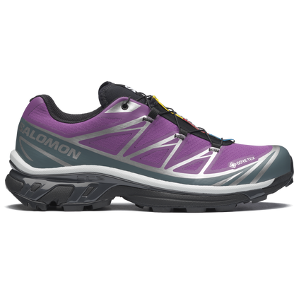 Salomon XT-6 Gore-Tex Concord Grape / Stormy Weathe vue de profil