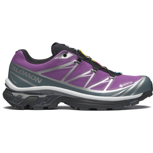 Salomon XT-6 Gore-Tex Concord Grape / Stormy Weathe vue de profil
