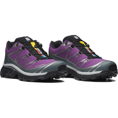 Salomon XT-6 Gore-Tex Concord Grape / Stormy Weathe vue de côté