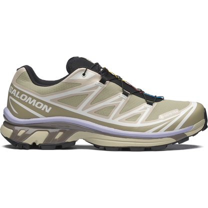 Salomon XT-6 GTX Eucalyptus / Silver Sage vue de profil