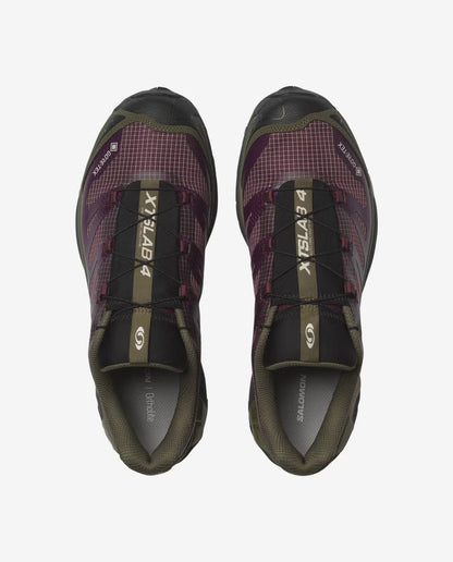 Salomon XT4 GTX Maroon Banner Winter Bloom top