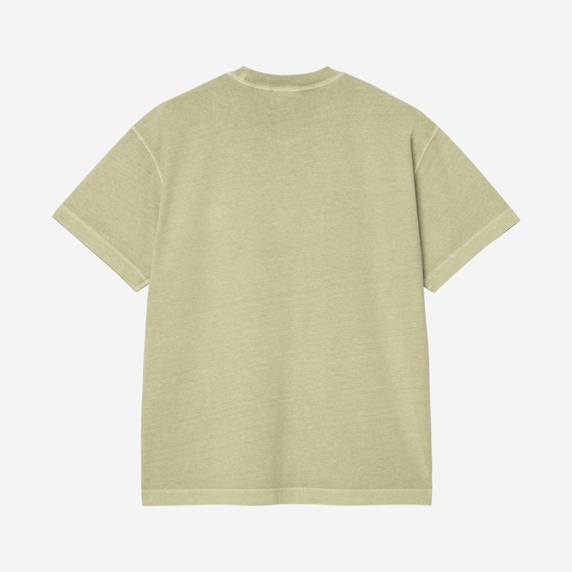 Carhartt WIP Nelson Tshirt Gentle Green, vue de face