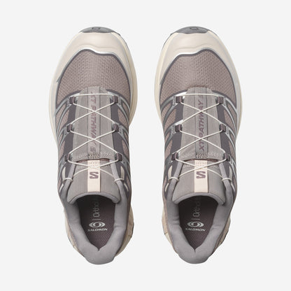 Salomon XT Pathway 2 Gull FTW Silver, vue de profil