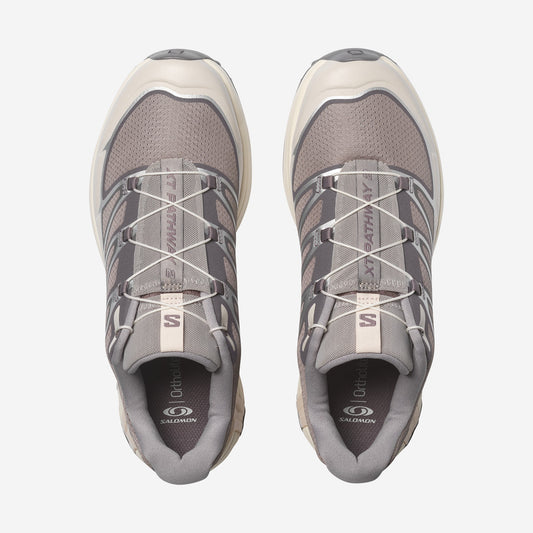 Salomon XT Pathway 2 Gull FTW Silver, vue de profil