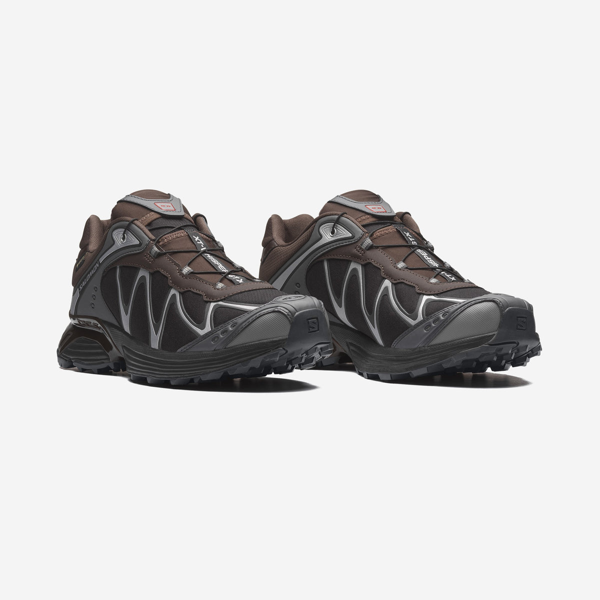 Salomon XT-Whisper GTX Delicioso Asphalt